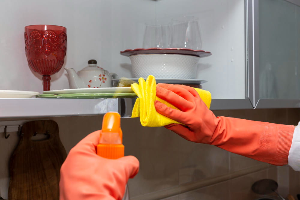 Kitchen detailing during move cleaning